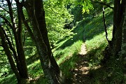 Al Pizzo Grande e al Monte Molinasco da Alino di S. Pellegrino il 25 maggio 2020-FOTOGALLERY